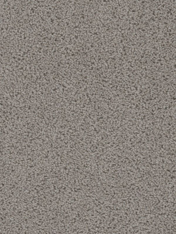 Dreamweaver Carpet Sweepstakes Chrome Carpet 2200_927