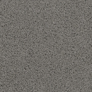 Dreamweaver Carpet Sweepstakes Bayside Carpet 2200_956