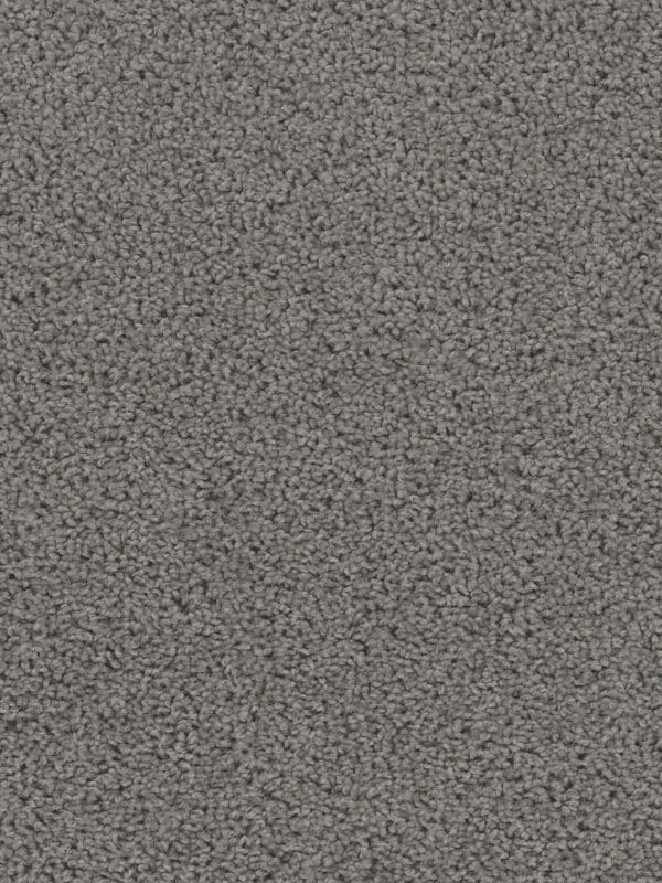 Dreamweaver Carpet Sweepstakes Bayside Carpet 2200_956