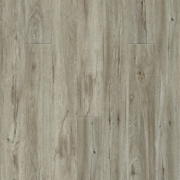 Dreamweaver Triumph LVP Flooring New Standard II Paradise 6"