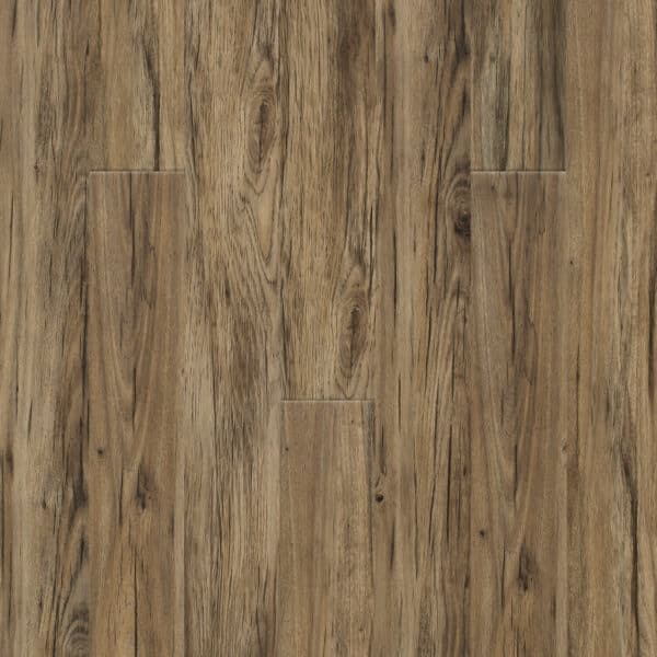 Dreamweaver Triumph LVP Flooring New Standard II Bounty 6"