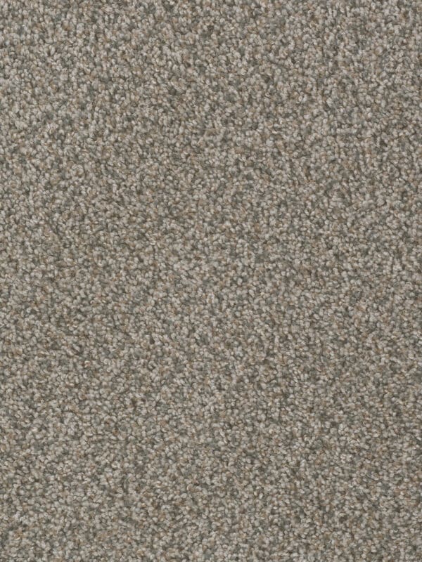 Dreamweaver Carpet Sp250 Carbon Crystals Carpet SP250_255
