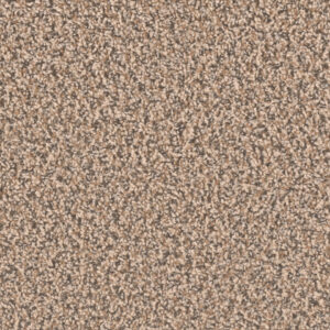 Dreamweaver Carpet Sp250 Shoreline Carpet SP250_367
