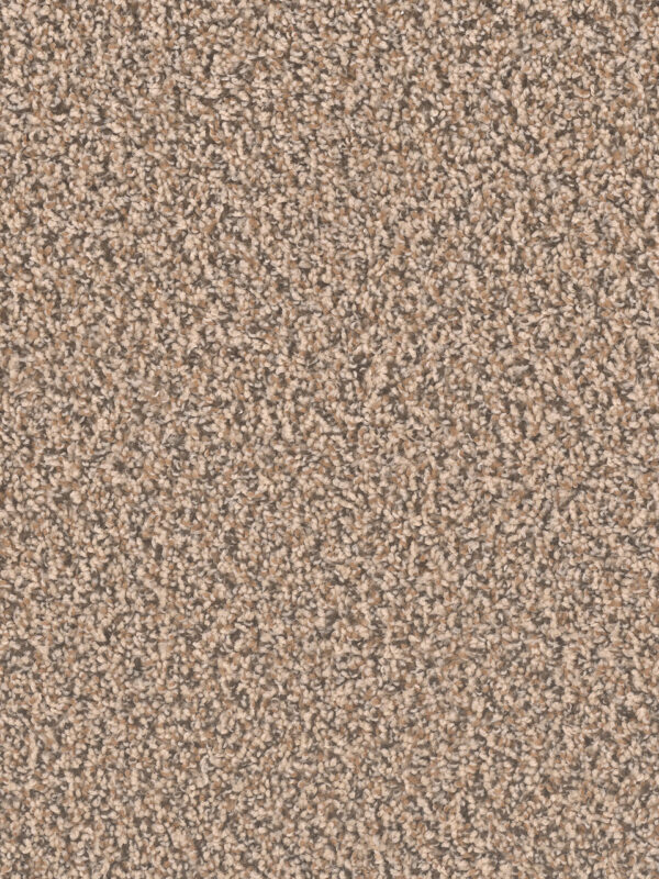 Dreamweaver Carpet Sp250 Shoreline Carpet SP250_367