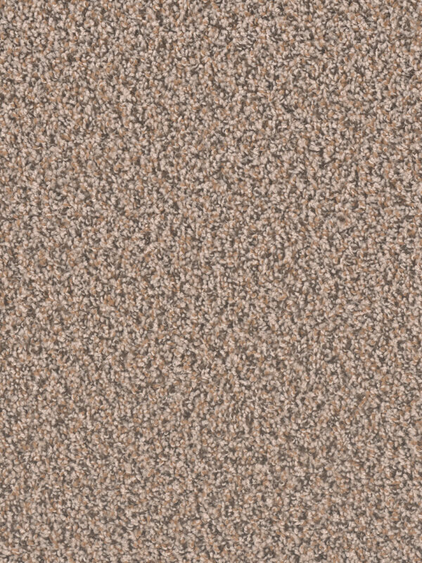 Dreamweaver Carpet Sp250 Gingerbread Carpet SP250_390