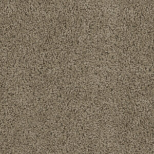 Dreamweaver Carpet Sp250 Honey Beige Carpet SP250_510