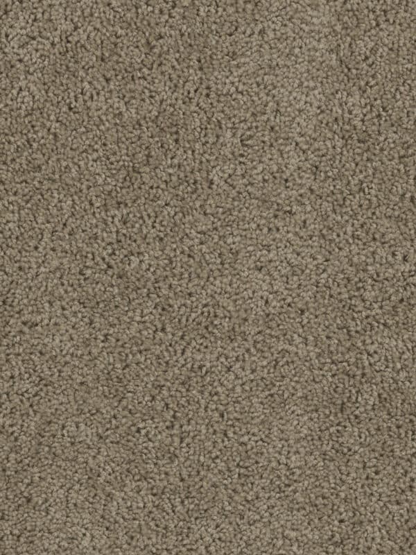 Dreamweaver Carpet Sp250 Honey Beige Carpet SP250_510