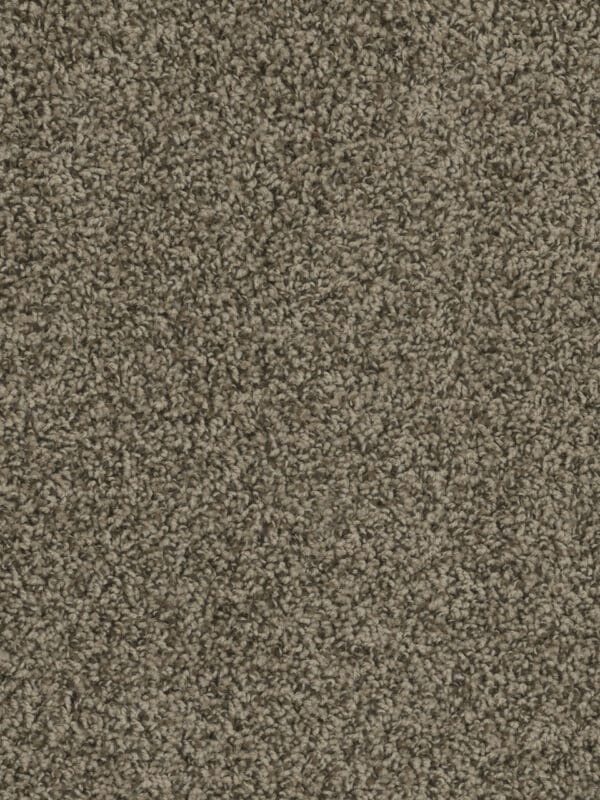 Dreamweaver Carpet Sp250 Agate Carpet SP250_512