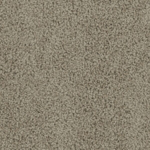 Dreamweaver Carpet Sp250 Doeskin Carpet SP250_530