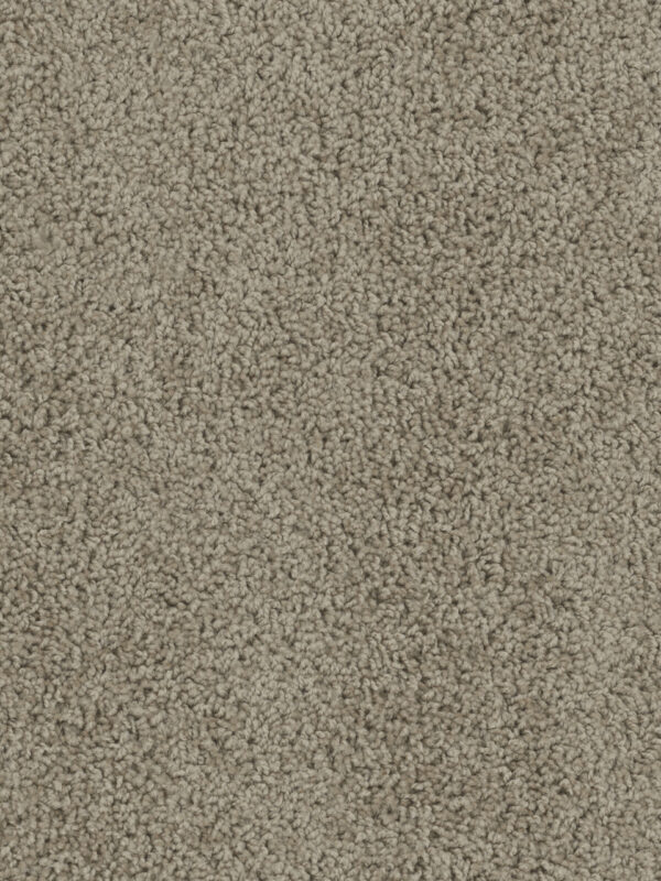 Dreamweaver Carpet Sp250 Doeskin Carpet SP250_530