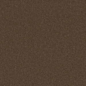 Dreamweaver Carpet Sp250 Boulder Carpet SP250_552