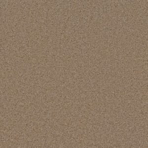 Dreamweaver Carpet Sp250 Sawgrass Carpet SP250_701