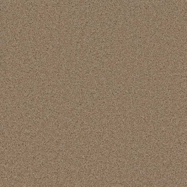 Dreamweaver Carpet Sp250 Sawgrass Carpet SP250_701
