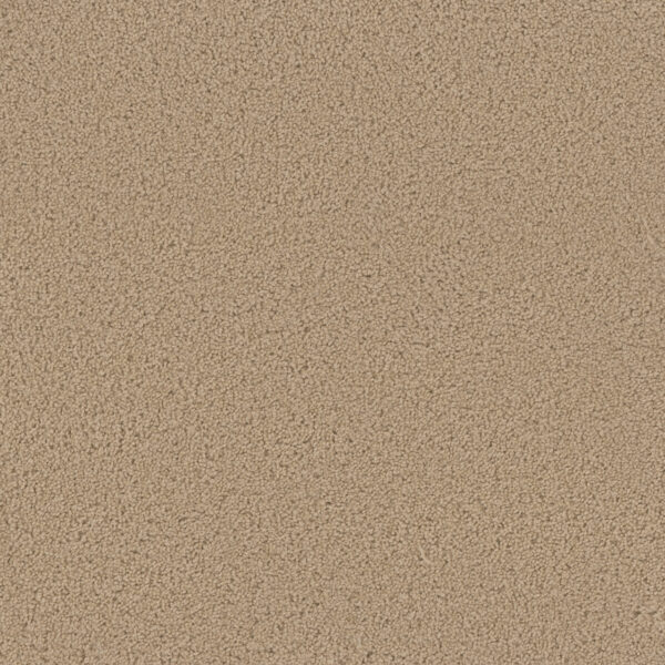 Dreamweaver Carpet Sp250 Cookie Dough Carpet SP250_705