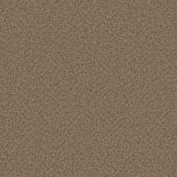 Dreamweaver Carpet Sp250 Claystone Carpet SP250_708