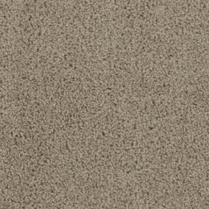 Dreamweaver Carpet Sp250 Sandstone Carpet SP250_715