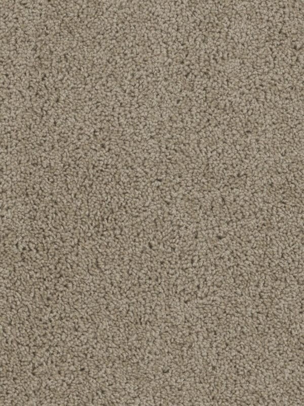 Dreamweaver Carpet Sp250 Sandstone Carpet SP250_715