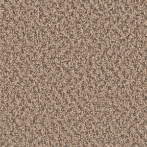 Dreamweaver Carpet Sp250 Fossil Carpet SP250_742