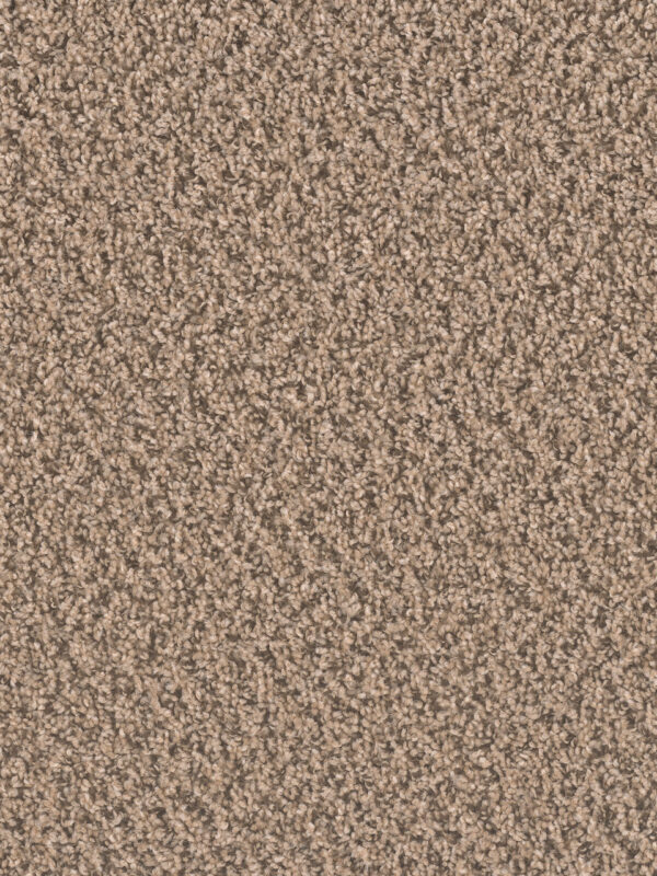 Dreamweaver Carpet Sp250 Fossil Carpet SP250_742
