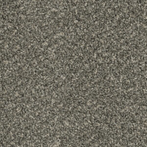 Dreamweaver Carpet Sp250 Ironside Carpet SP250_783