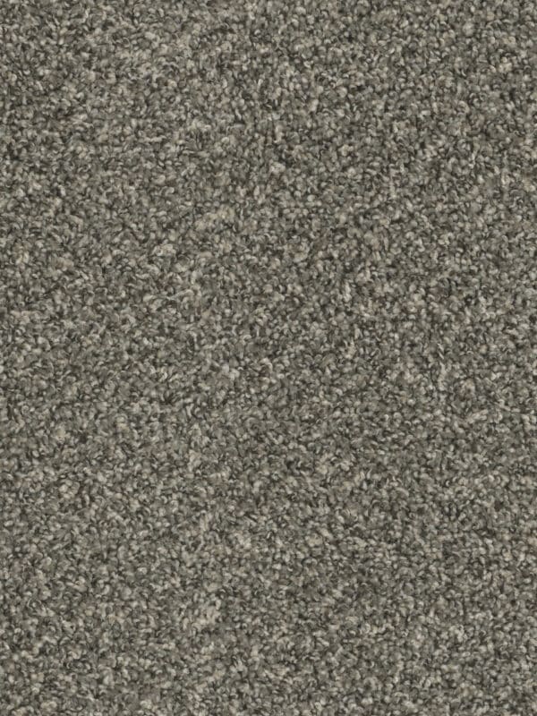 Dreamweaver Carpet Sp250 Ironside Carpet SP250_783