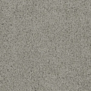 Dreamweaver Carpet Sp250 Chrome Carpet SP250_927
