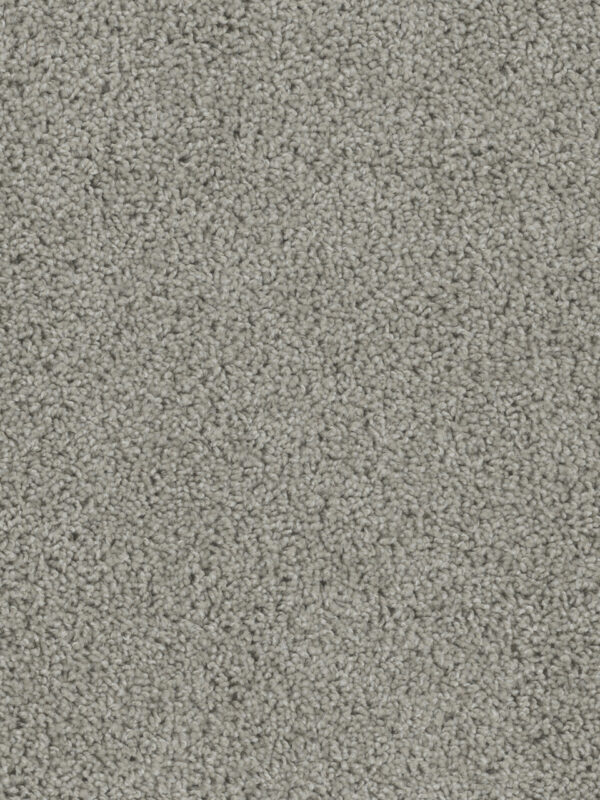 Dreamweaver Carpet Sp250 Chrome Carpet SP250_927