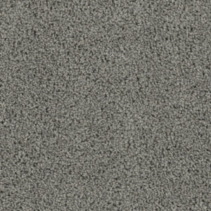 Dreamweaver Carpet Sp250 Bayside Carpet SP250_956