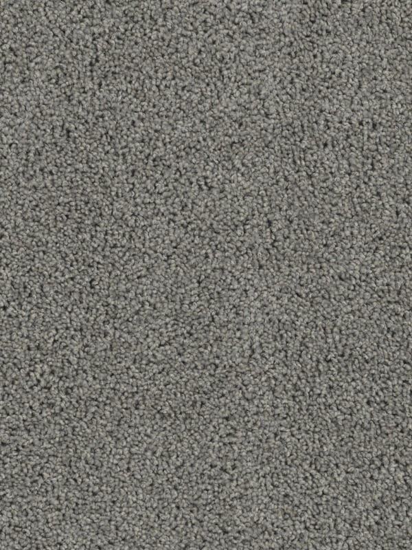 Dreamweaver Carpet Sp250 Bayside Carpet SP250_956