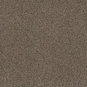 Dreamweaver Carpet Smart Squares Walk In The Park Copper Mine Carpet SQ107_314