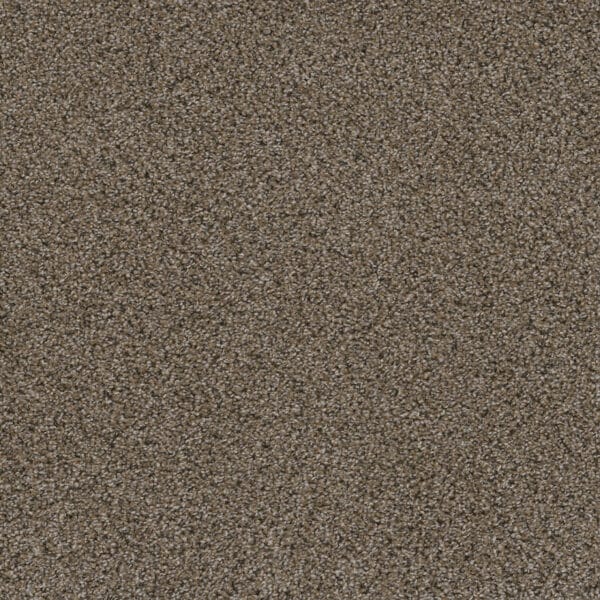 Dreamweaver Carpet Smart Squares Walk In The Park Copper Mine Carpet SQ107_314