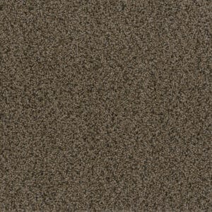 Dreamweaver Carpet In A Snap Rustic Charm Carpet SQ108_383