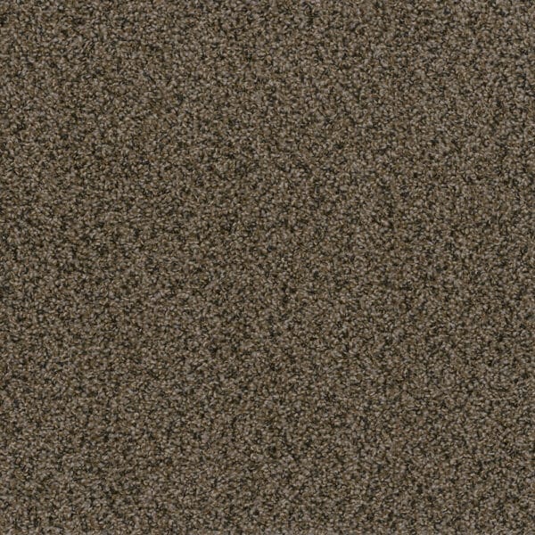 Dreamweaver Carpet In A Snap Rustic Charm Carpet SQ108_383
