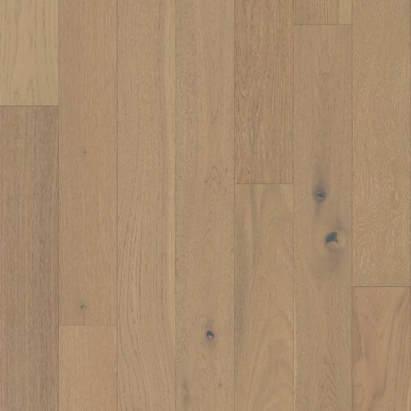 Shaw Hardwood Empire Oak Plank SW583-01015