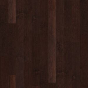 Shaw Hardwood Coral Springs SW591-00698