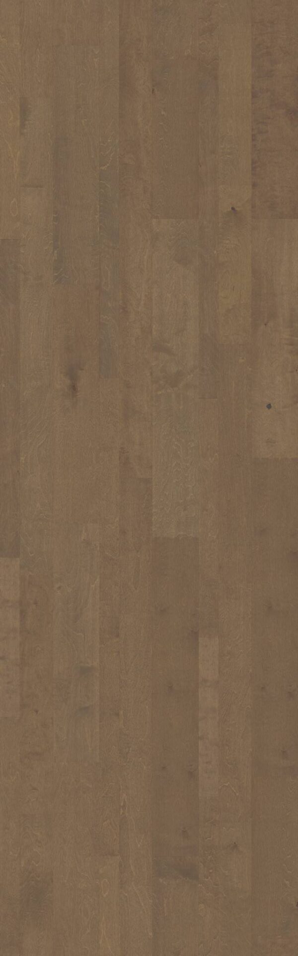 Shaw Hardwood Key West SW664-00529
