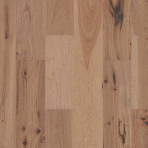 Shaw Hardwood Reflections Hickory SW673-01033