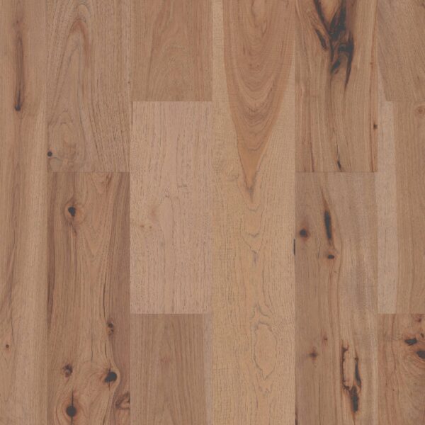 Shaw Hardwood Reflections Hickory SW673-01033