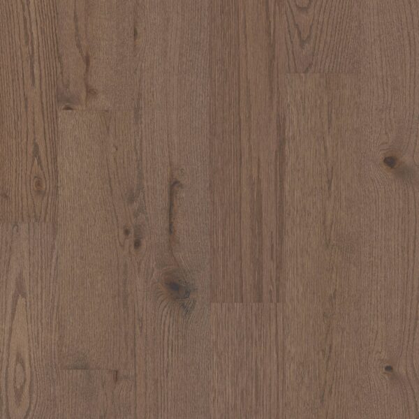 Shaw Hardwood Exploration West SW737-07077