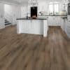 Titan Surfaces Colossal Spartacus 9" TW06-6005 Luxury Vinyl Plank - Image 2
