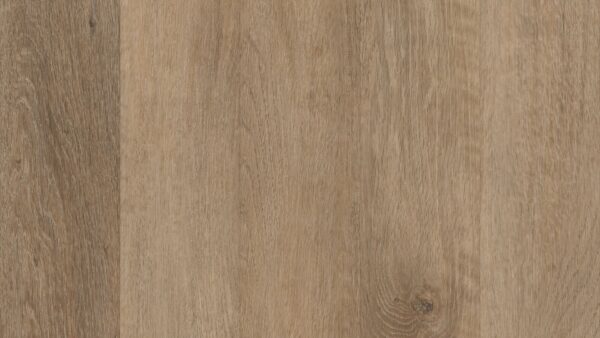 COREtec Plus Brockport Oak 5" VV023-00513