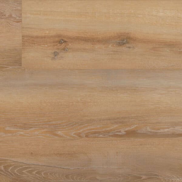 COREtec Plus Premium Coretta Oak 9" VV457-02908