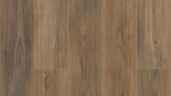 COREtec Pro Plus Enhanced Edinburgh Oak 7" VV492-02001