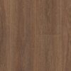 COREtec Pro Plus Enhanced Rocca Oak 7" VV492-02002