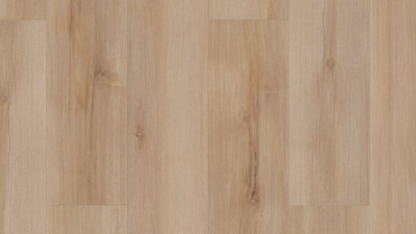 COREtec Pro Plus Enhanced Lucent Oak 7" VV492-02028