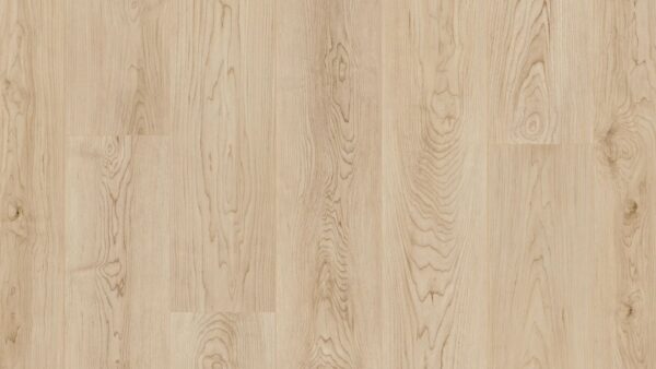 COREtec Pro Plus Enhanced Shoreline Maple 7" VV492-02030