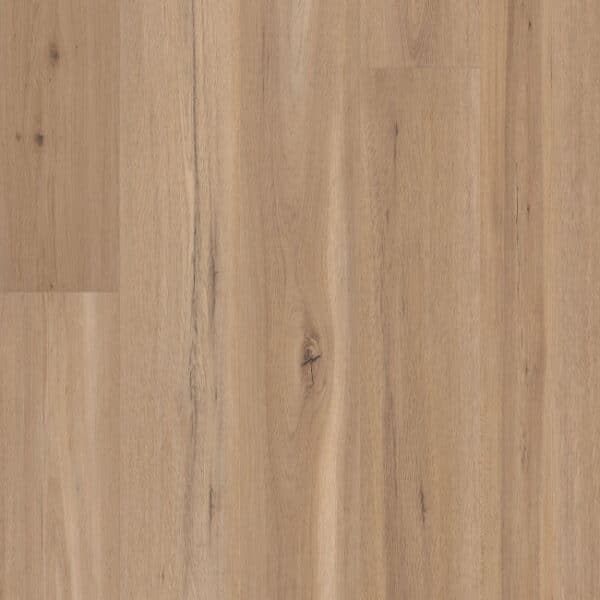 COREtec CT Premium Blonde Oak 9" VV810-05026