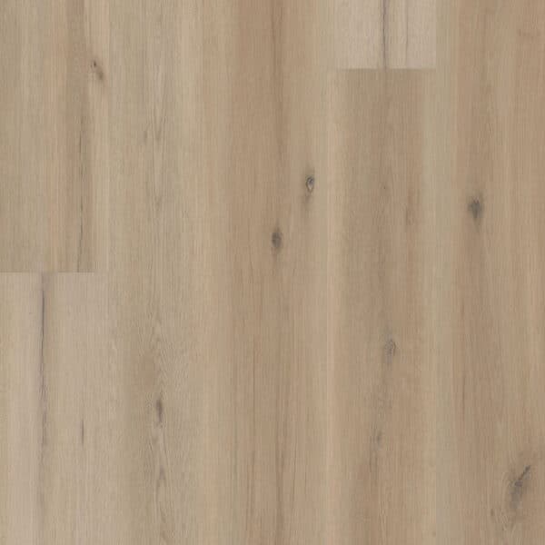 COREtec CT Premium Sea Salt Oak 9" VV810-05028