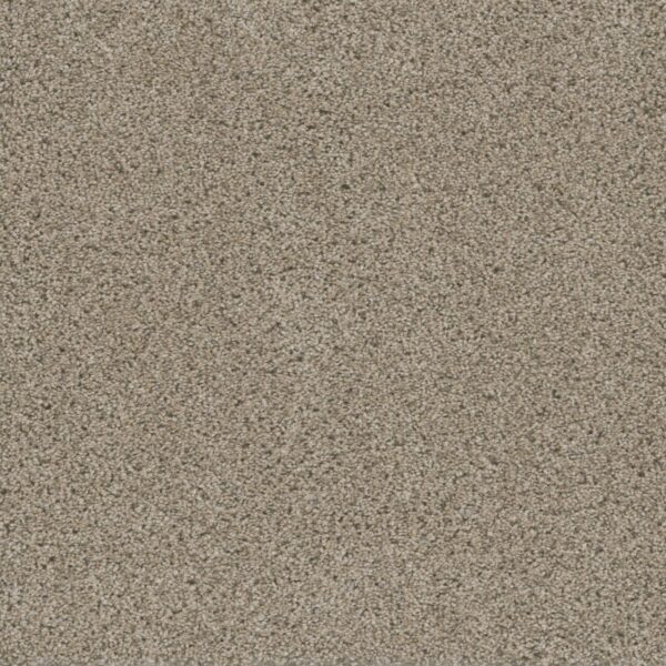 Dreamweaver Carpet Smart Squares Easy Street Oxford Carpet SQ105_720