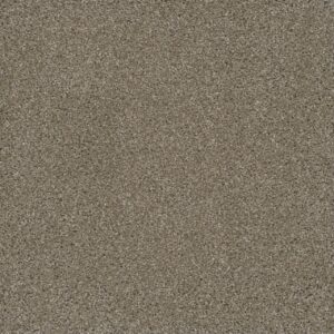 Dreamweaver Carpet Smart Squares Easy Street Acorn Carpet SQ105_858